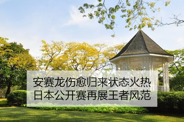 安赛龙伤愈归来状态火热 日本公开赛再展王者风范